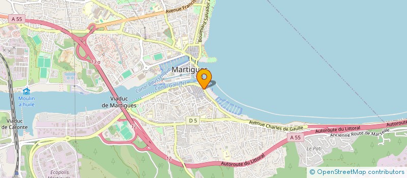 localisation de l'entreprise MONSIEUR GUILLAUME TRIOLAIRE  MARTIGUES