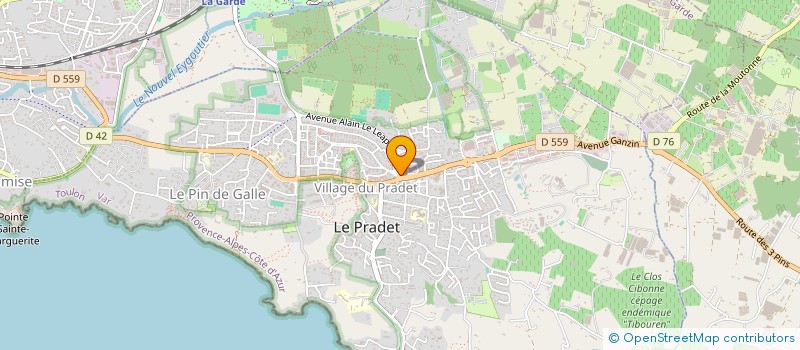 localisation de l'entreprise MONSIEUR GUILLAUME ULMER  LE PRADET