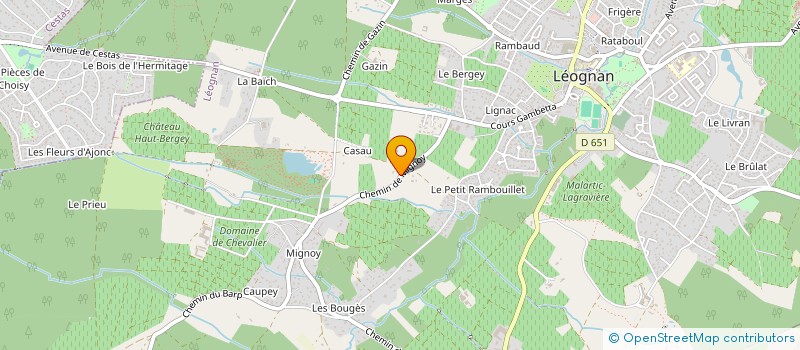 localisation de l'entreprise MONSIEUR GUILLAUME VIGNERON à LEOGNAN