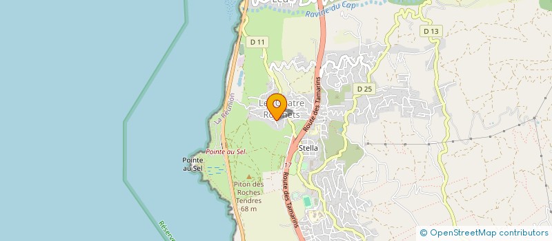 localisation de l'entreprise MONSIEUR GUILLERMO PAZ GOMEZ  SAINT-LEU