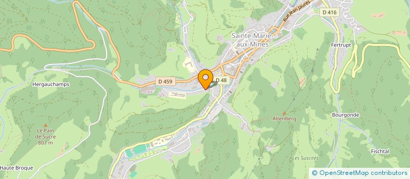 localisation de l'entreprise MONSIEUR GUY BOTTLAENDER  SAINTE-MARIE-AUX-MINES