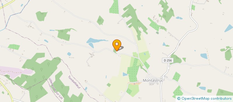 localisation de l'entreprise MONSIEUR GUY BOYER  MONTASTRUC