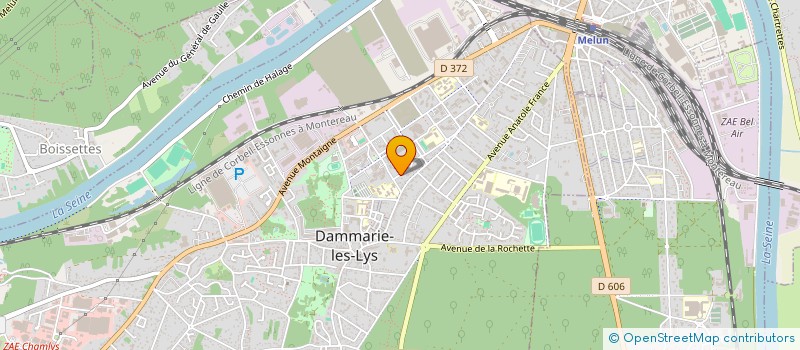 localisation de l'entreprise MONSIEUR GUY CEDRIC CUIEGOUEI à DAMMARIE-LES-LYS