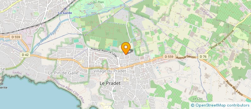 localisation de l'entreprise MONSIEUR GUY DANAYS  LE PRADET