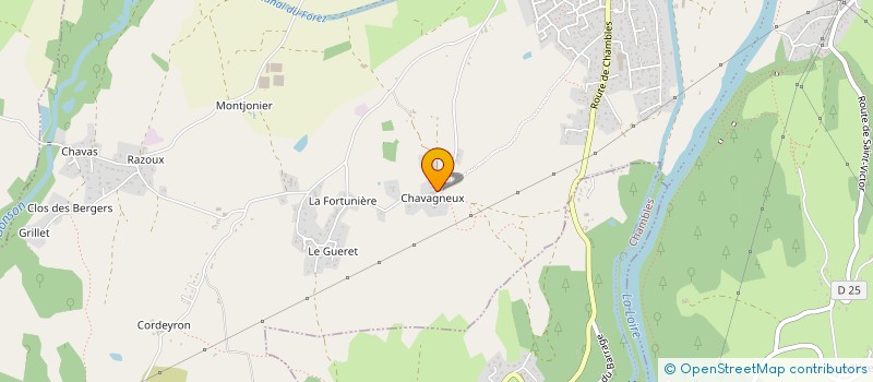 localisation de l'entreprise MONSIEUR GUY DAVID-SAUZEA  SAINT-JUST-SAINT-RAMBERT