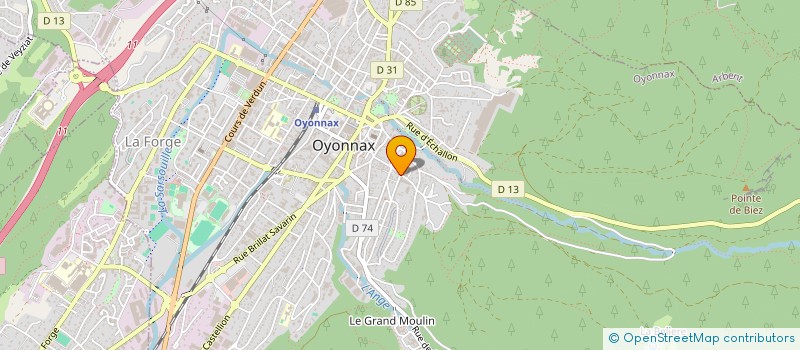 localisation de l'entreprise MONSIEUR GUY DUC à OYONNAX