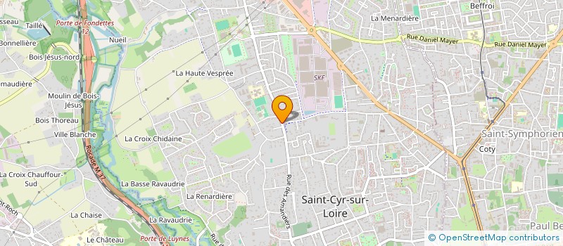 localisation de l'entreprise MONSIEUR GUY DUMAS  SAINT-CYR-SUR-LOIRE