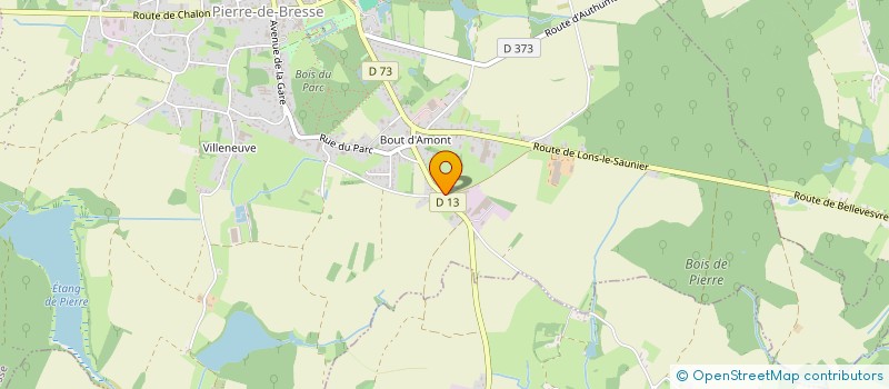 localisation de l'entreprise MONSIEUR GUY LOUIS  PIERRE-DE-BRESSE