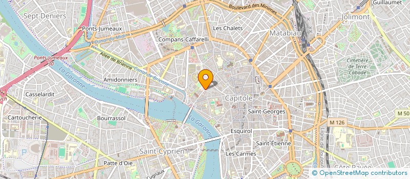 localisation de l'entreprise MONSIEUR GUY MARONESE à TOULOUSE