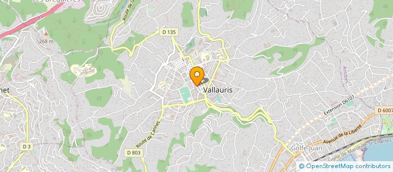 localisation de l'entreprise MONSIEUR GUY SALLAZ à VALLAURIS