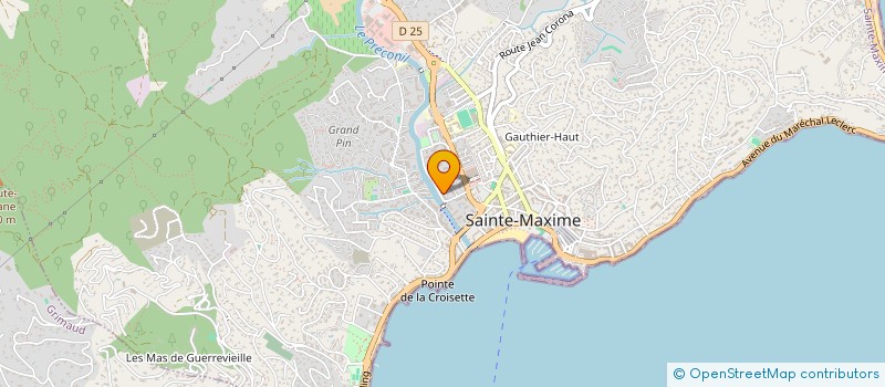 localisation de l'entreprise MONSIEUR GUY TANI  SAINTE-MAXIME