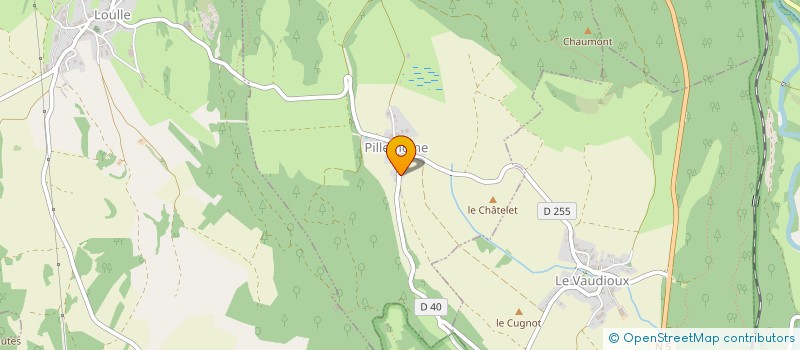 localisation de l'entreprise MONSIEUR GUY THOMAS  PILLEMOINE