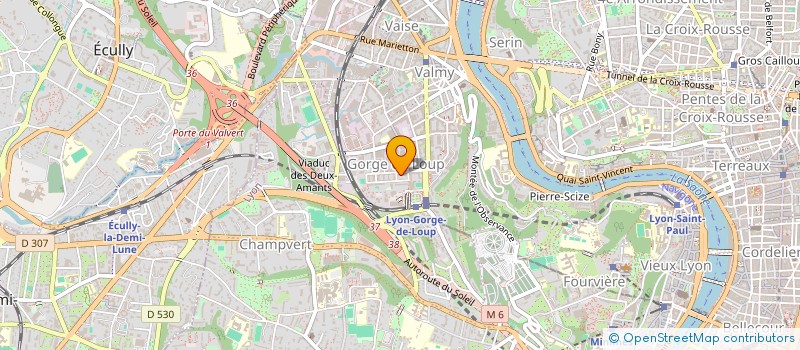 localisation de l'entreprise MONSIEUR GWENAEL BOLLINGER  LYON