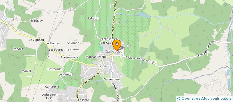 localisation de l'entreprise MONSIEUR GWENAEL RECH  SALLEBUF