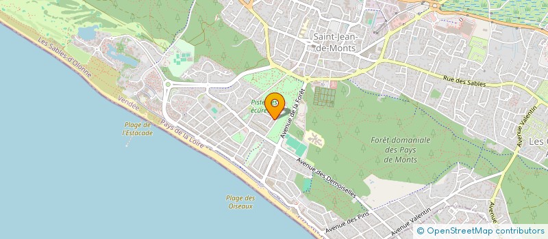 localisation de l'entreprise MONSIEUR GWENDAL MILCENT  SAINT-JEAN-DE-MONTS