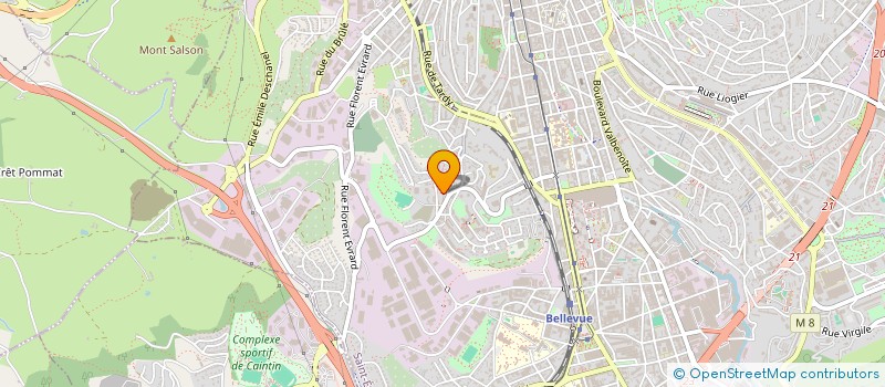 localisation de l'entreprise MONSIEUR HADJ CHIKH CHAAOUANE  SAINT-ETIENNE