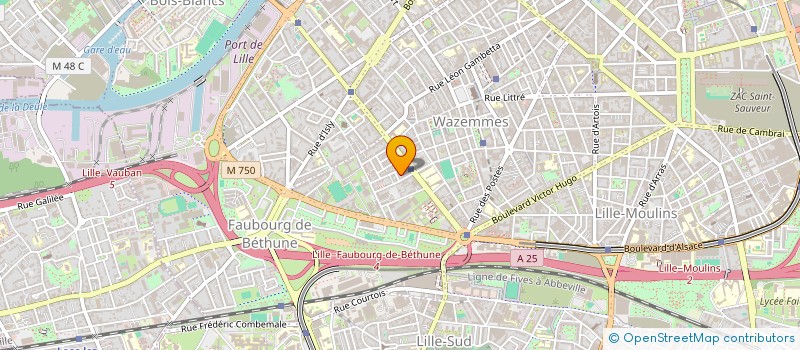 localisation de l'entreprise MONSIEUR HADRIEN GUENIN à LILLE