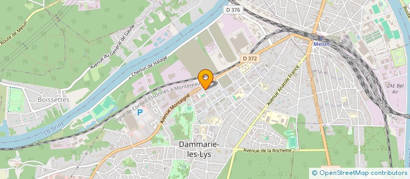 localisation de l'entreprise MONSIEUR HAFEEZ REHMANI à DAMMARIE-LES-LYS