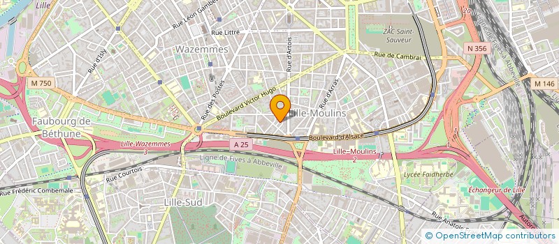 localisation de l'entreprise MONSIEUR HAFEZ EL ASSAD AHMED  LILLE