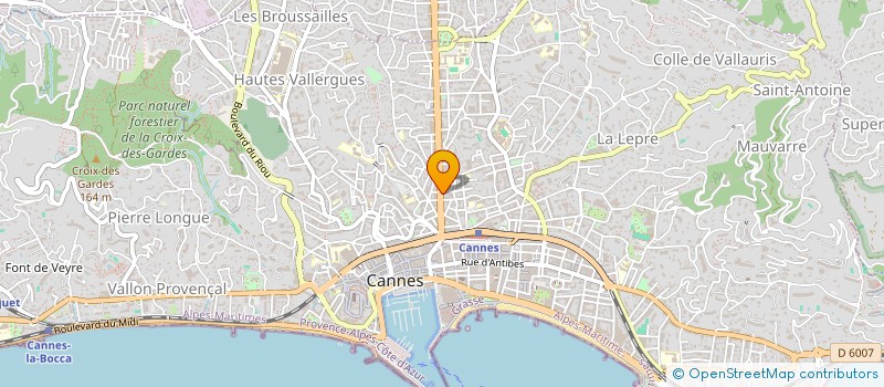 localisation de l'entreprise MONSIEUR HAITHEM AYARI  CANNES