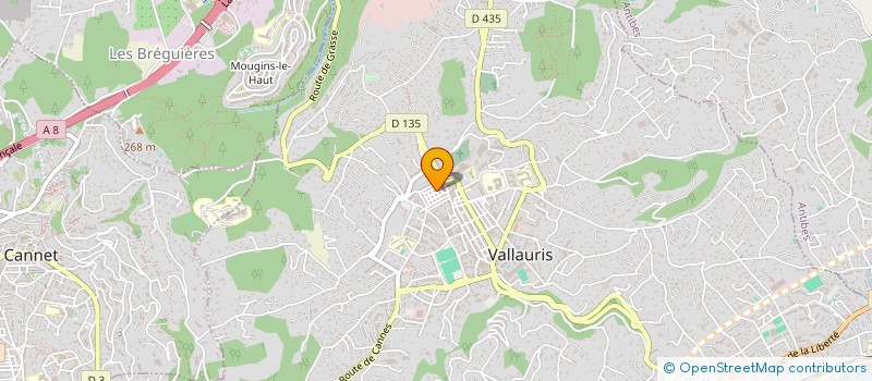 localisation de l'entreprise MONSIEUR HAKIM FENNIRI à VALLAURIS