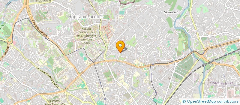 localisation de l'entreprise MONSIEUR HAKIM FOUDIL à MONTPELLIER