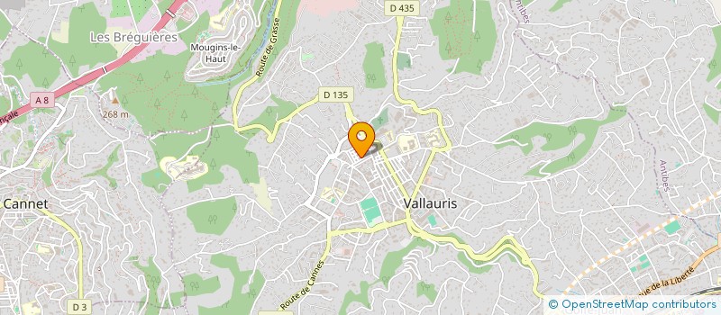 localisation de l'entreprise MONSIEUR HALIME GHARBI à VALLAURIS