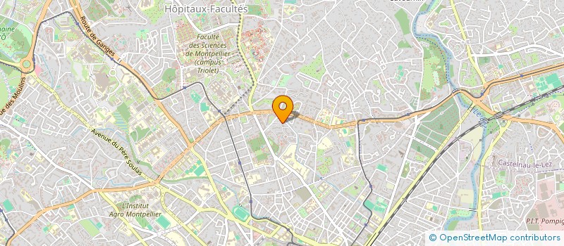 localisation de l'entreprise MONSIEUR HAMED SALHI à MONTPELLIER