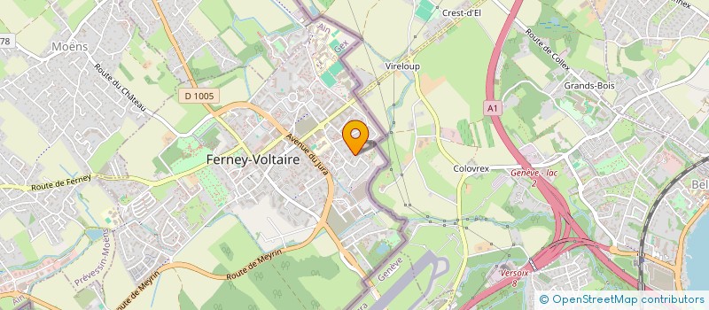 localisation de l'entreprise MONSIEUR HAMID EL YOUSFI à FERNEY-VOLTAIRE