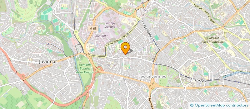 localisation de l'entreprise MONSIEUR HAMID JOUI à MONTPELLIER
