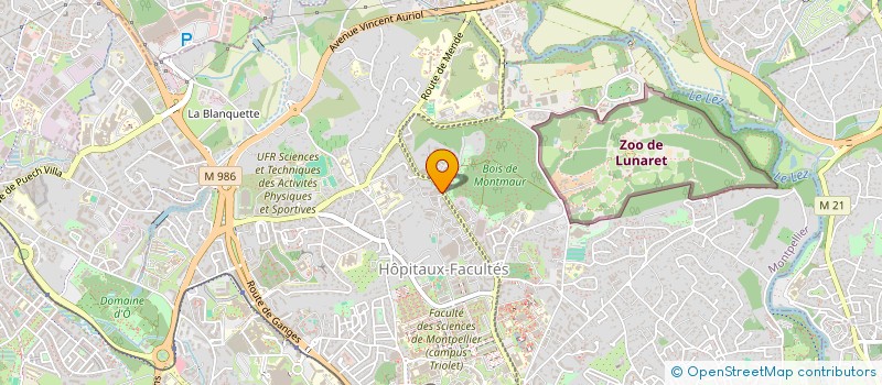 localisation de l'entreprise MONSIEUR HAMID ZOUAGUI à MONTPELLIER