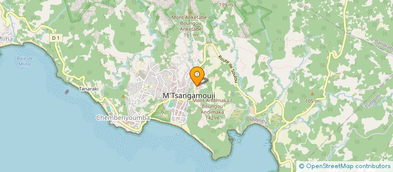 localisation de l'entreprise MONSIEUR HAMIDANI AHAMADA  M'TSANGAMOUJI