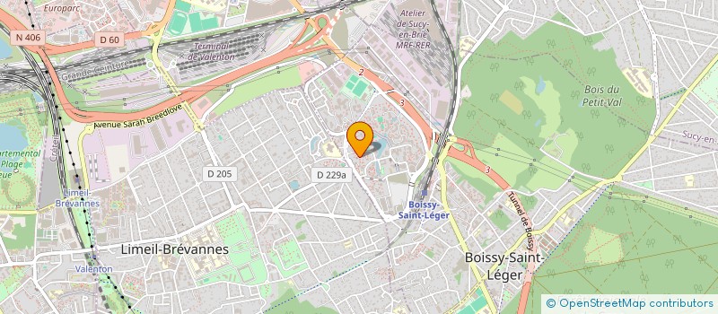 localisation de l'entreprise MONSIEUR HAMIDOU SI ALI  BOISSY-SAINT-LEGER