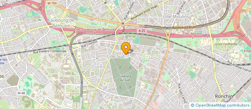 localisation de l'entreprise MONSIEUR HAMZA AGZANNAY  LILLE