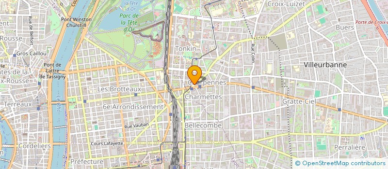 localisation de l'entreprise MONSIEUR HAMZA BENREKAA  VILLEURBANNE