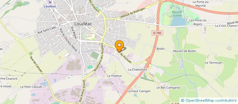 localisation de l'entreprise MONSIEUR HAMZA HANINI à LOUDEAC