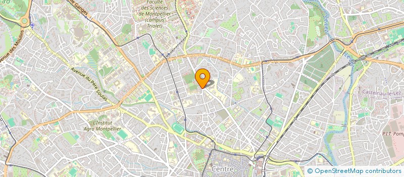 localisation de l'entreprise MONSIEUR HAMZA MERROUCHI  MONTPELLIER