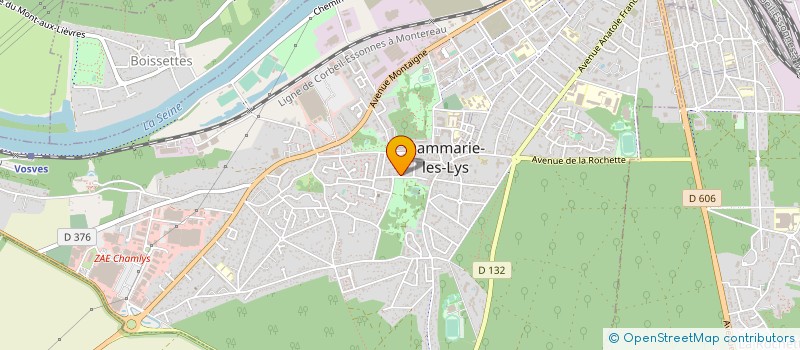 localisation de l'entreprise MONSIEUR HAMZA YAZICI à DAMMARIE-LES-LYS
