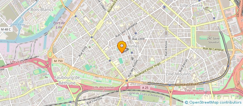 localisation de l'entreprise MONSIEUR HANI RAMDANI à LILLE