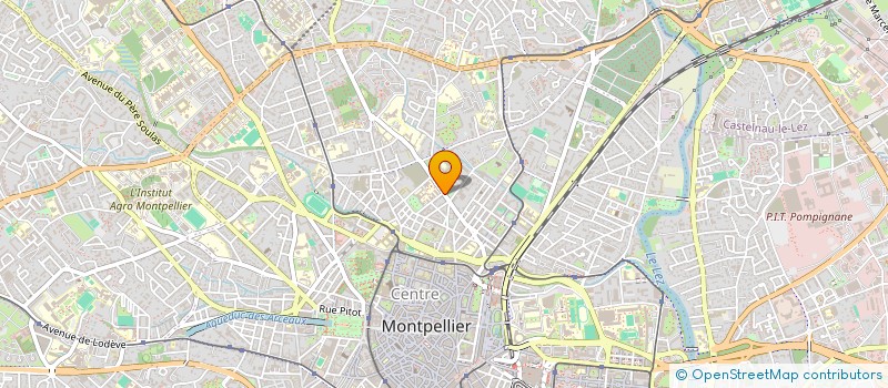 localisation de l'entreprise MONSIEUR HANS NUMBI ILUNGA à MONTPELLIER