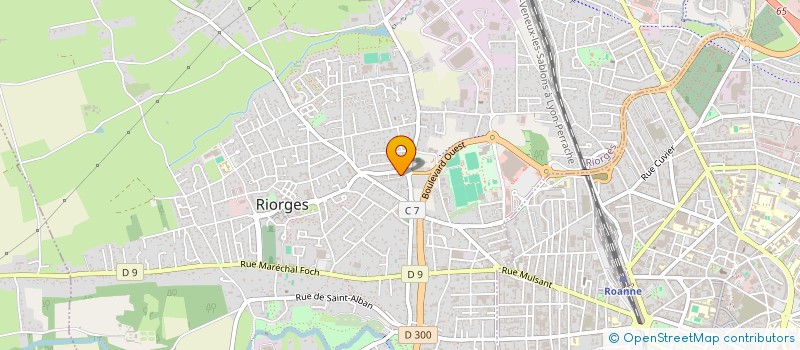 localisation de l'entreprise MONSIEUR HARIZ BADZIC à RIORGES