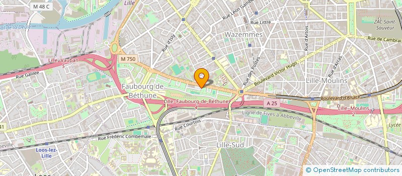 localisation de l'entreprise MONSIEUR HAROON SALEHI à LILLE