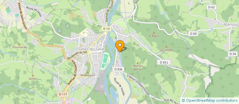 localisation de l'entreprise MONSIEUR HARRY ARASTE  SALIES-DU-SALAT