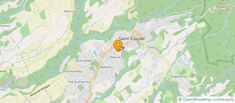 localisation de l'entreprise MONSIEUR HARRY LEUGINER à SAINT-CLAUDE