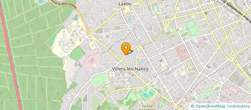 localisation de l'entreprise MONSIEUR HASAN HANCER à VILLERS-LES-NANCY