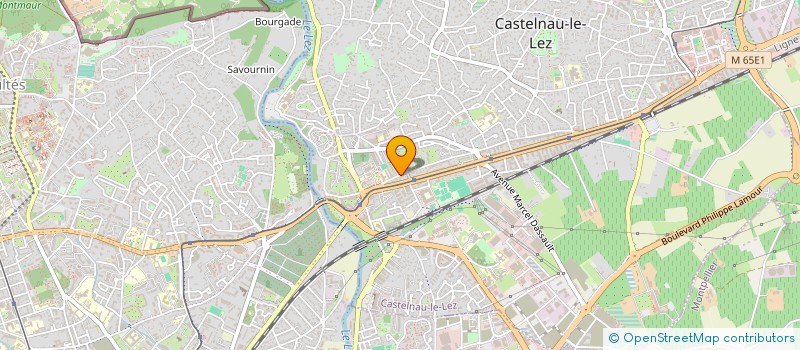 localisation de l'entreprise MONSIEUR HASSAN DAOUDI à CASTELNAU-LE-LEZ