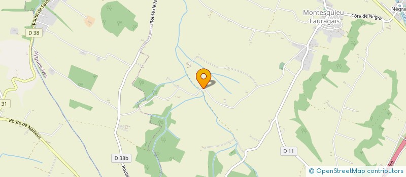 localisation de l'entreprise MONSIEUR HASSAN EZZEMZAMI  MONTESQUIEU-LAURAGAIS