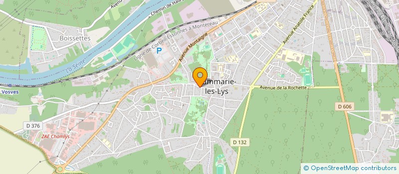 localisation de l'entreprise MONSIEUR HASSEN BEN REHOUMA à DAMMARIE-LES-LYS