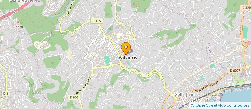 localisation de l'entreprise MONSIEUR HATTEM EDKHIL à VALLAURIS