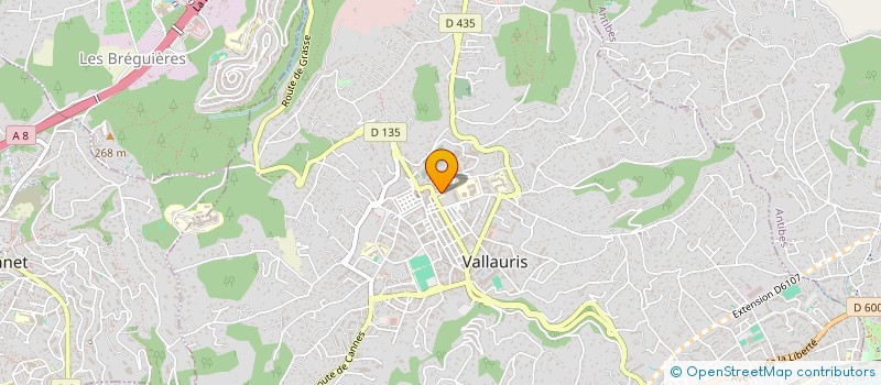 localisation de l'entreprise MONSIEUR HAUSAM SADANA à VALLAURIS